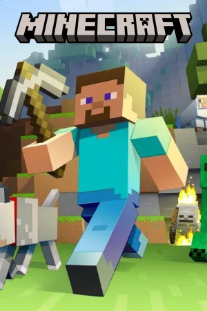 Minecraft server hosting