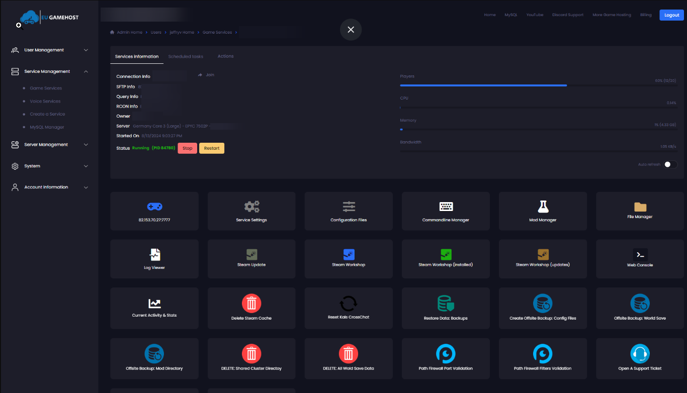Valheim server console interface